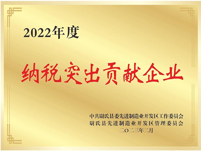 纳税突出贡献企业 