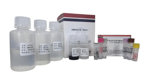 精准防控新利器：磁珠法核酸抽提与直扩技术赋能病毒检测